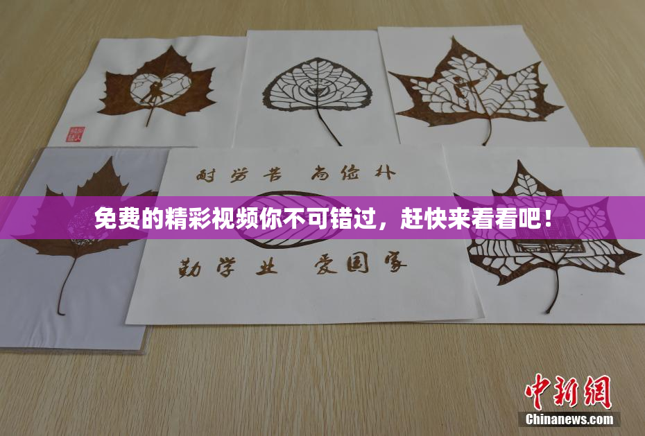 免费的精彩视频你不可错过，赶快来看看吧！