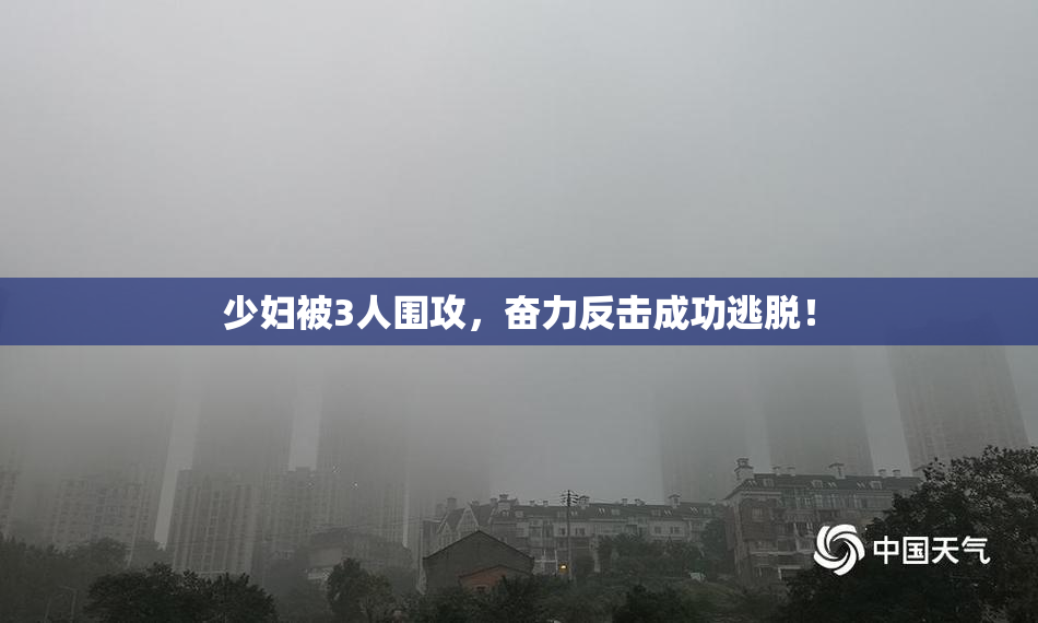 少妇被3人围攻，奋力反击成功逃脱！