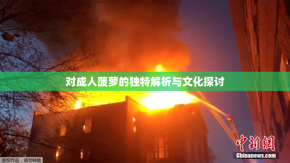 对成人菠萝的独特解析与文化探讨