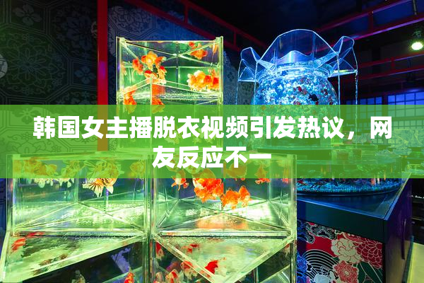 韩国女主播脱衣视频引发热议，网友反应不一