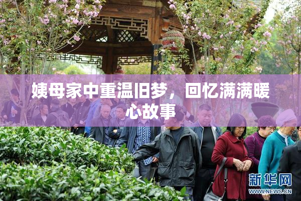姨母家中重温旧梦，回忆满满暖心故事