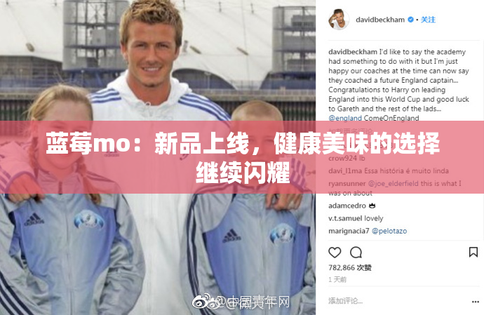 蓝莓mo：新品上线，健康美味的选择继续闪耀