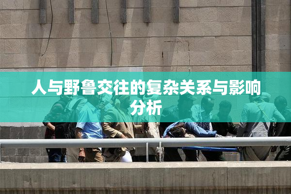 人与野鲁交往的复杂关系与影响分析