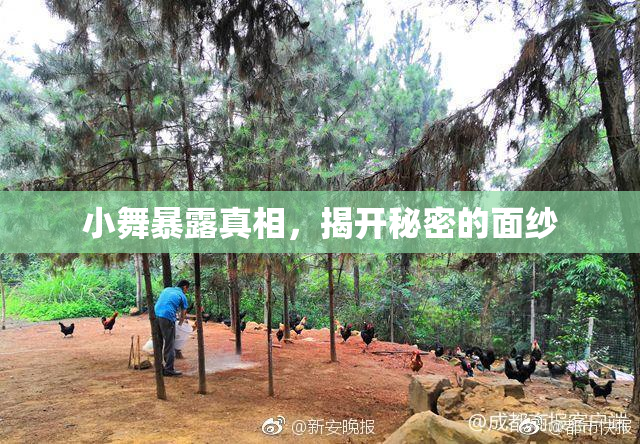 小舞暴露真相，揭开秘密的面纱