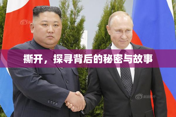 撕开，探寻背后的秘密与故事