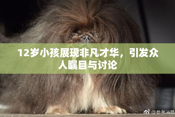 12岁小孩展现非凡才华，引发众人瞩目与讨论