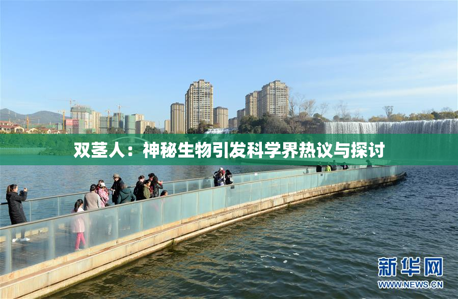 双茎人：神秘生物引发科学界热议与探讨