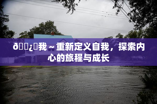 🌿‌我～重新定义自我，探索内心的旅程与成长
