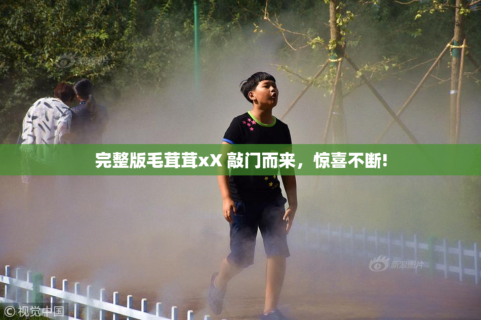 完整版毛茸茸xX 敲门而来，惊喜不断!
