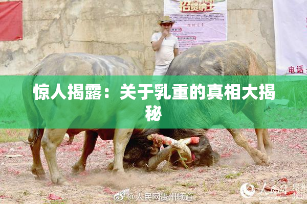 惊人揭露：关于乳重的真相大揭秘