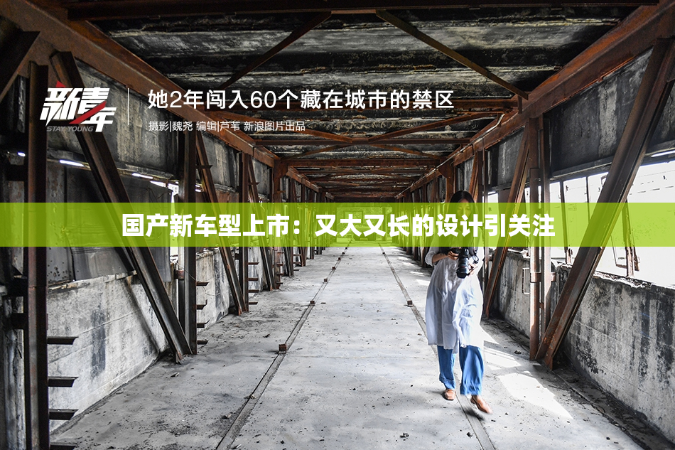 国产新车型上市：又大又长的设计引关注