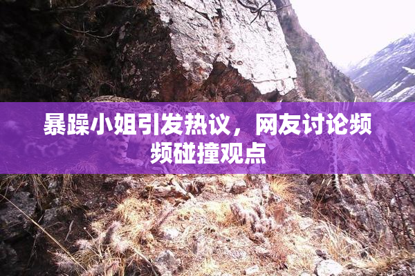 暴躁小姐引发热议，网友讨论频频碰撞观点