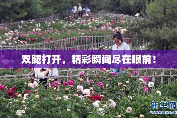 双腿打开，精彩瞬间尽在眼前！