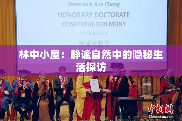 林中小屋：静谧自然中的隐秘生活探访