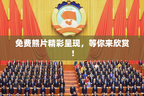 免费熊片精彩呈现，等你来欣赏！