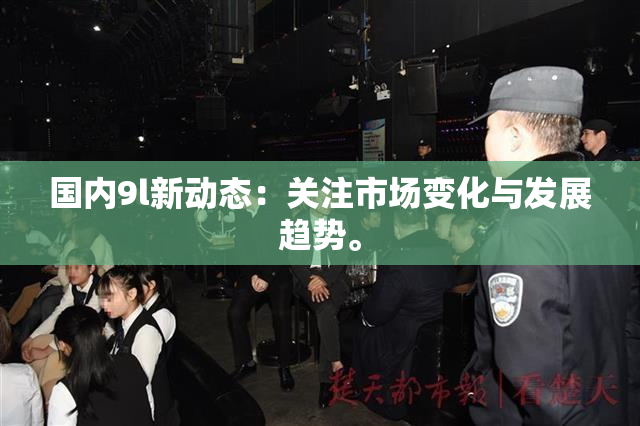 国内9l新动态：关注市场变化与发展趋势。