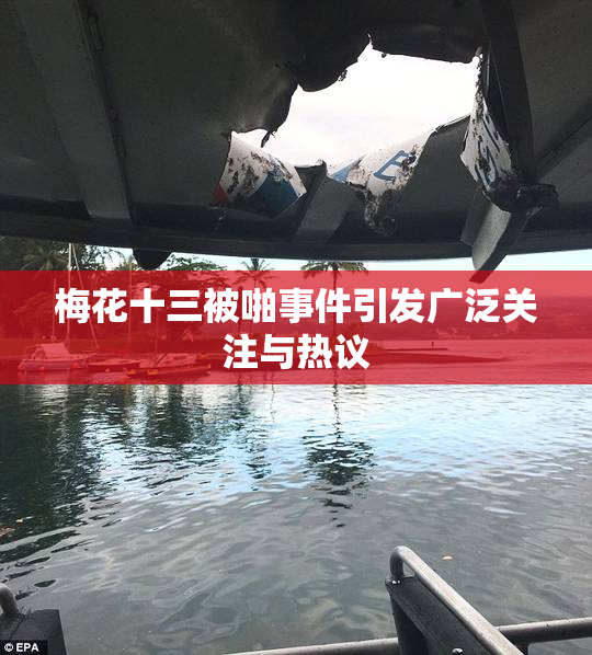 梅花十三被啪事件引发广泛关注与热议