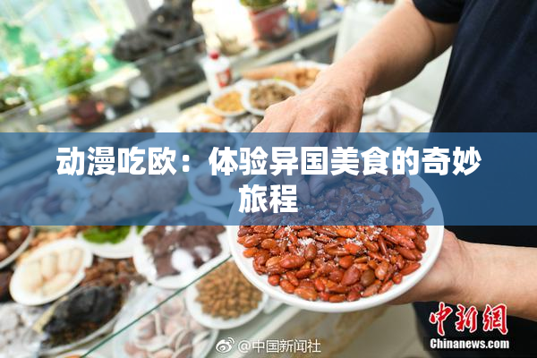 动漫吃欧：体验异国美食的奇妙旅程