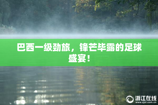 巴西一级劲旅，锋芒毕露的足球盛宴！