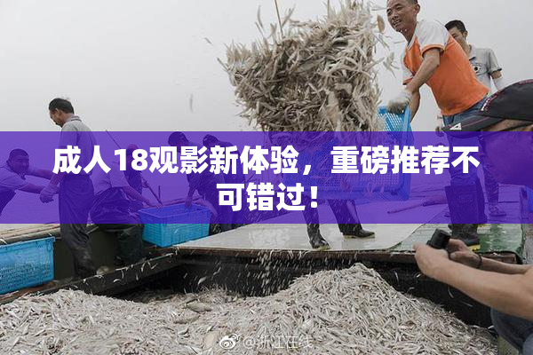 成人18观影新体验，重磅推荐不可错过！