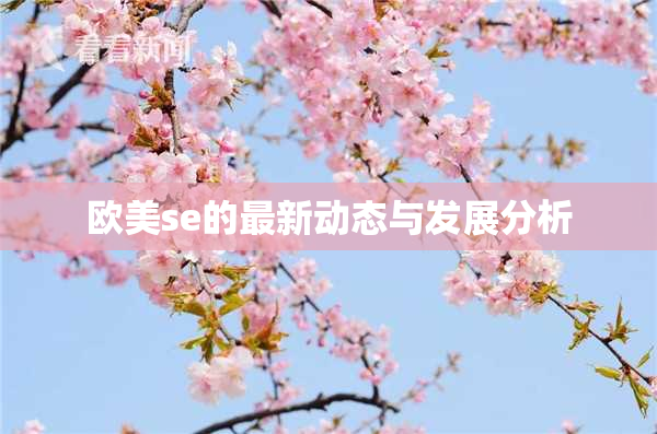 欧美se的最新动态与发展分析