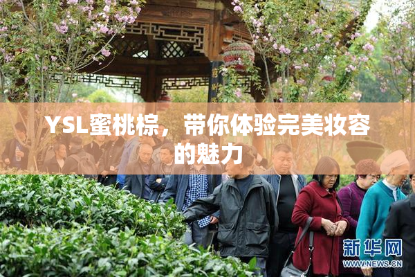 YSL蜜桃棕，带你体验完美妆容的魅力