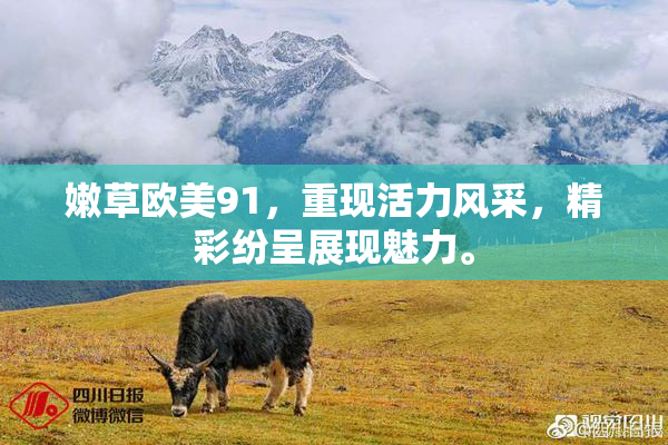 嫩草欧美91，重现活力风采，精彩纷呈展现魅力。
