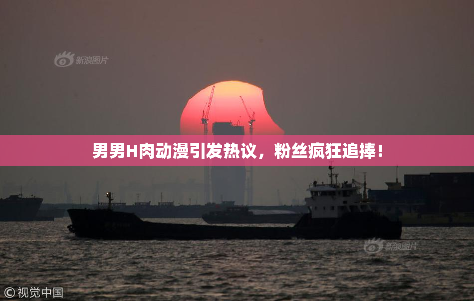 男男H肉动漫引发热议，粉丝疯狂追捧！