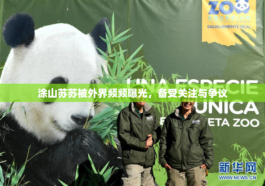 涂山苏苏被外界频频曝光，备受关注与争议