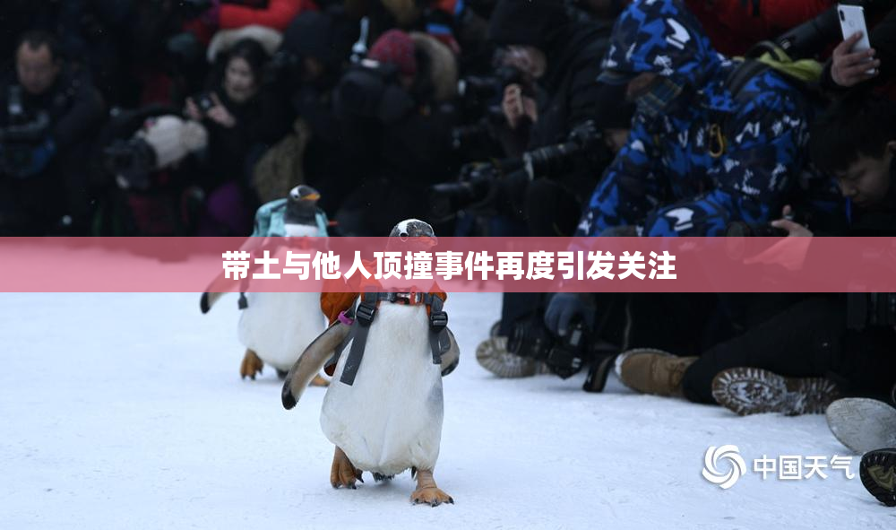 带土与他人顶撞事件再度引发关注