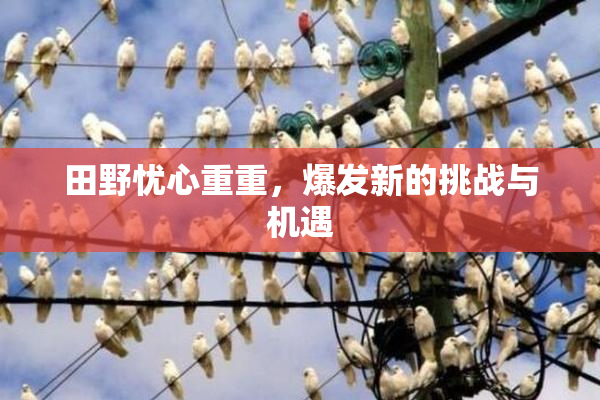 田野忧心重重，爆发新的挑战与机遇
