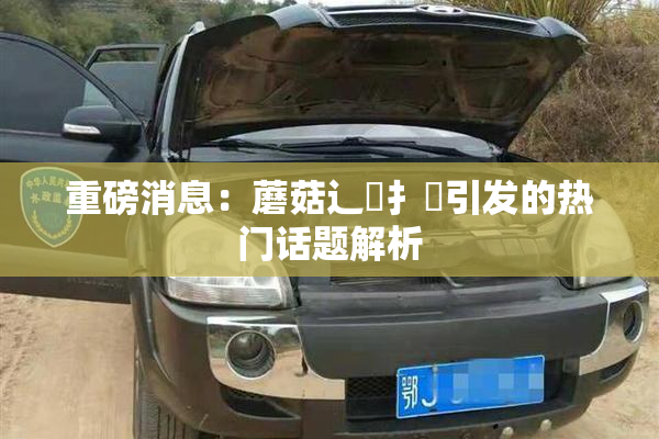 重磅消息：蘑菇辶喿扌畐引发的热门话题解析