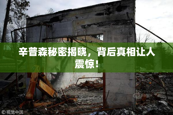 辛普森秘密揭晓，背后真相让人震惊！