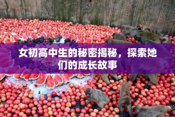 女初高中生的秘密揭秘，探索她们的成长故事