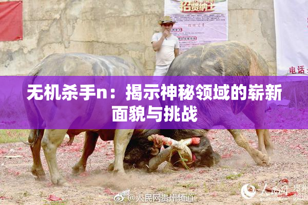 无机杀手n：揭示神秘领域的崭新面貌与挑战