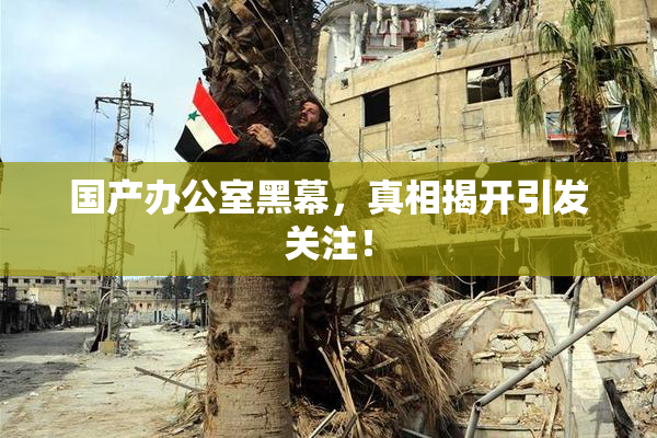 国产办公室黑幕，真相揭开引发关注！