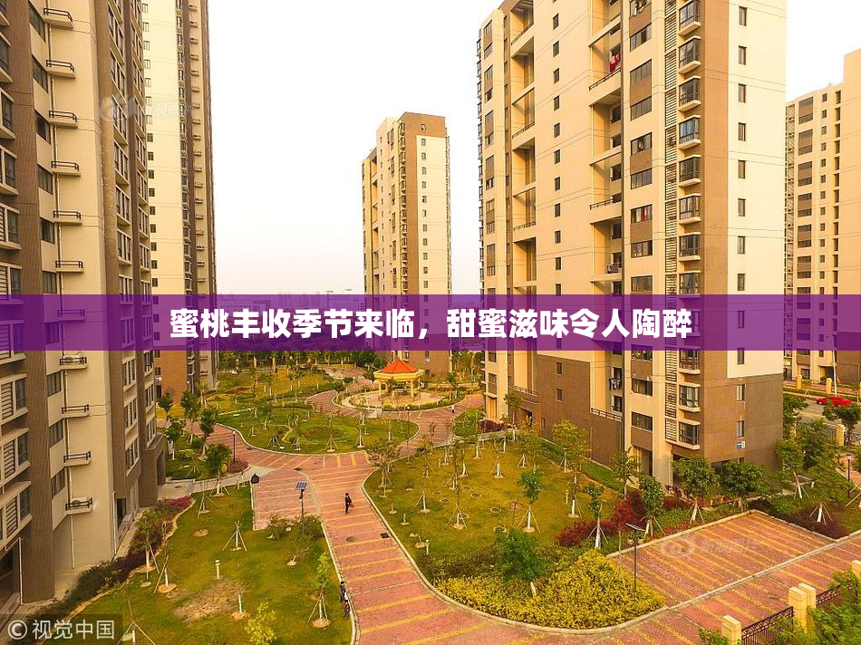 蜜桃丰收季节来临，甜蜜滋味令人陶醉