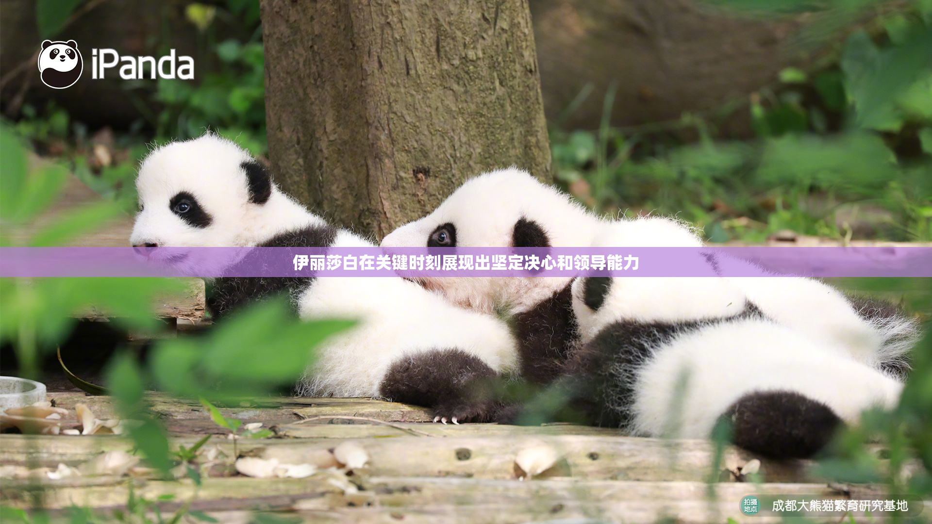 伊丽莎白在关键时刻展现出坚定决心和领导能力