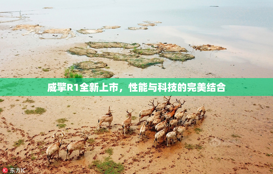 威擎R1全新上市，性能与科技的完美结合