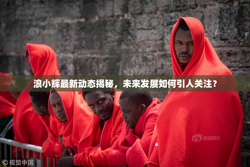 浪小辉最新动态揭秘，未来发展如何引人关注？