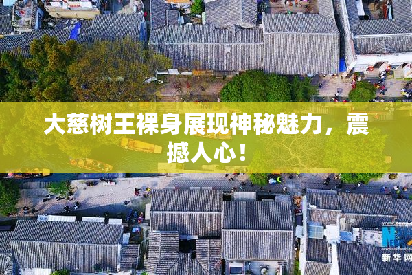 大慈树王裸身展现神秘魅力，震撼人心！