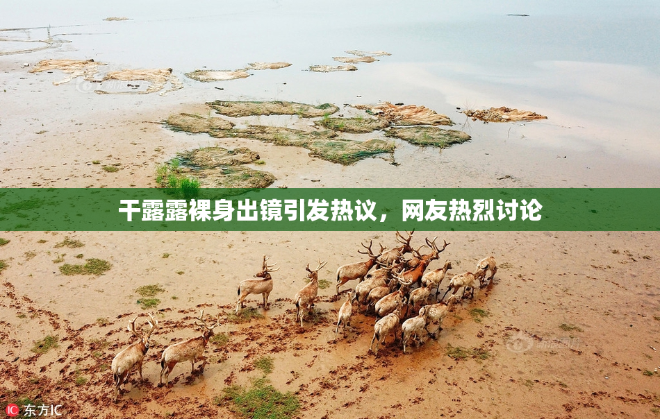 干露露裸身出镜引发热议，网友热烈讨论