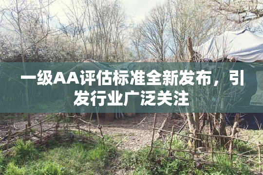 一级AA评估标准全新发布，引发行业广泛关注