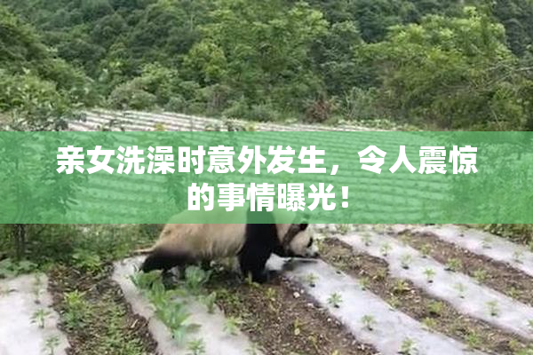 亲女洗澡时意外发生，令人震惊的事情曝光！