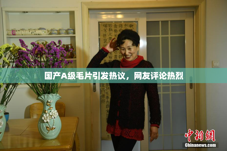 国产A级毛片引发热议，网友评论热烈