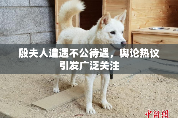 殷夫人遭遇不公待遇，舆论热议引发广泛关注