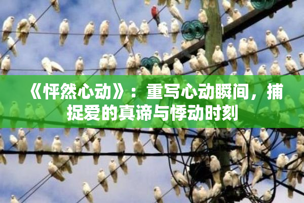《怦然心动》：重写心动瞬间，捕捉爱的真谛与悸动时刻