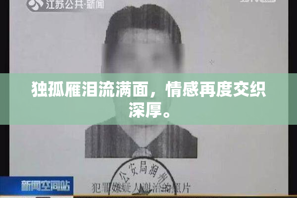 独孤雁泪流满面，情感再度交织深厚。