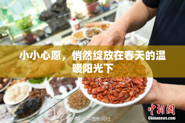 小小心愿，悄然绽放在春天的温暖阳光下