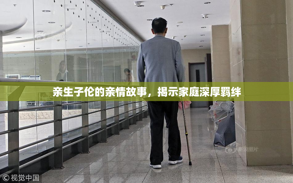 亲生子伦的亲情故事，揭示家庭深厚羁绊